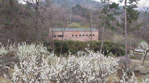 2014-03-30 14.57.35.jpg