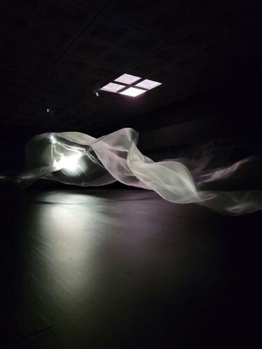 20231102_143925.jpg