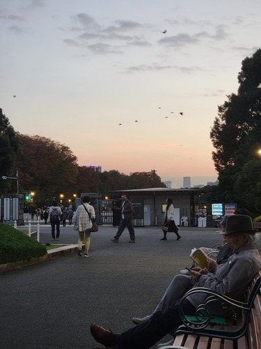 上野トーハク庭園11.jpg