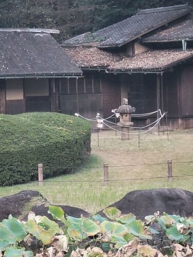 上野トーハク庭園8.jpg